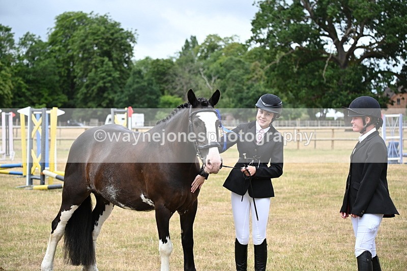 WJ6_4470 - Class 10 Coloured In-hand