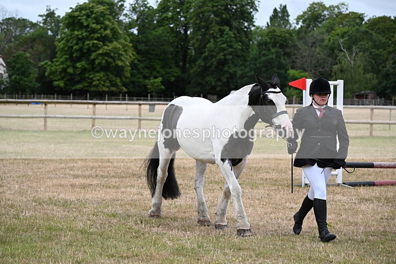 WJ6_4371 - Class 10 Coloured In-hand