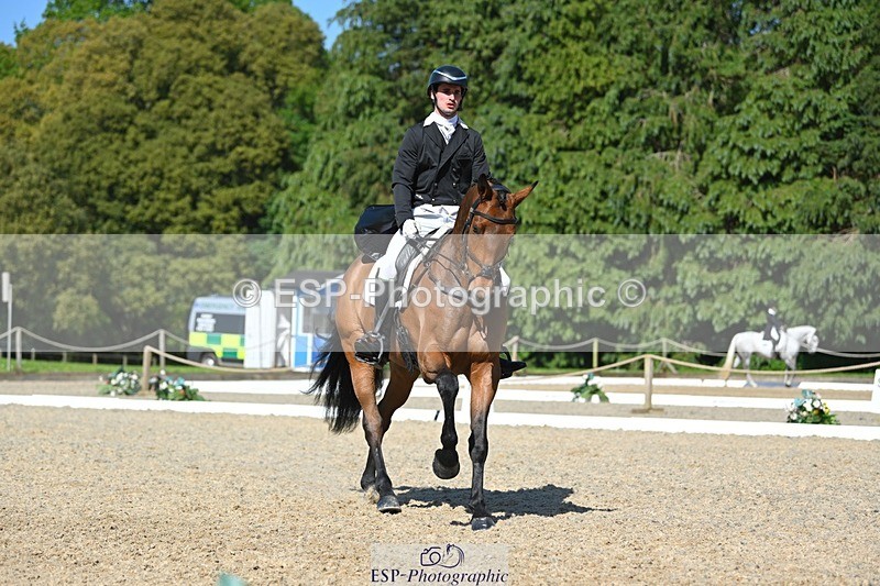 230526-161918-07334 - 255-HI_MR_HENRY-Henry_Hobby-WEDTrotUp+DR