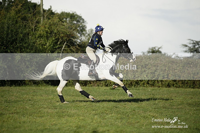 WWHT 031021 436 - Novice Restricted (0.80m) 03/10/21