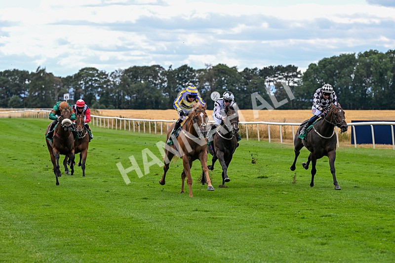 070826-Race 4-Azuinthejungle-1828 - Race 4 15.40pm Ladies' Day Saturday 5th September - Book Now Handicap
