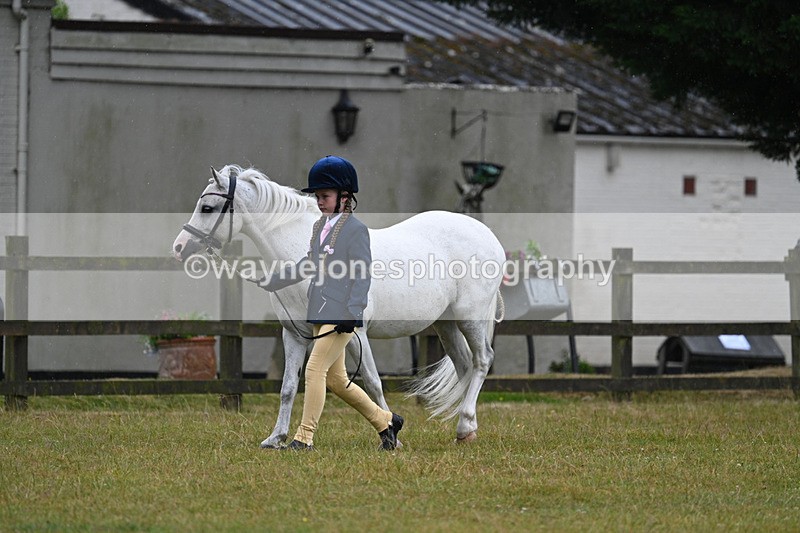 WJ7_5711 - Class 4 Prettiest Mare in Hand