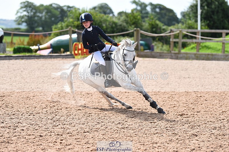 230716A-101028-01975 - Cls 35 Springboard 128cm & 138cm