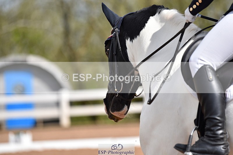 230511A-101330-00230 - BD Cls 2 Prelim 17A