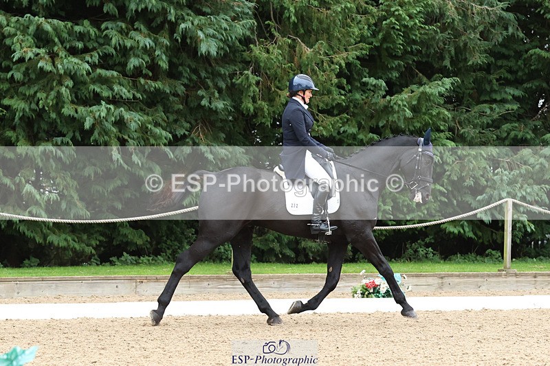 241024-152220-04817 - 232-Alison.Lidstone-MIDNIGHT.ROLLERCOASTER