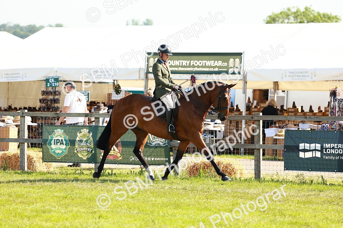 SBM_11872 - Class 66-69 - RIHS Ridden Hunters Inc Small Hunter