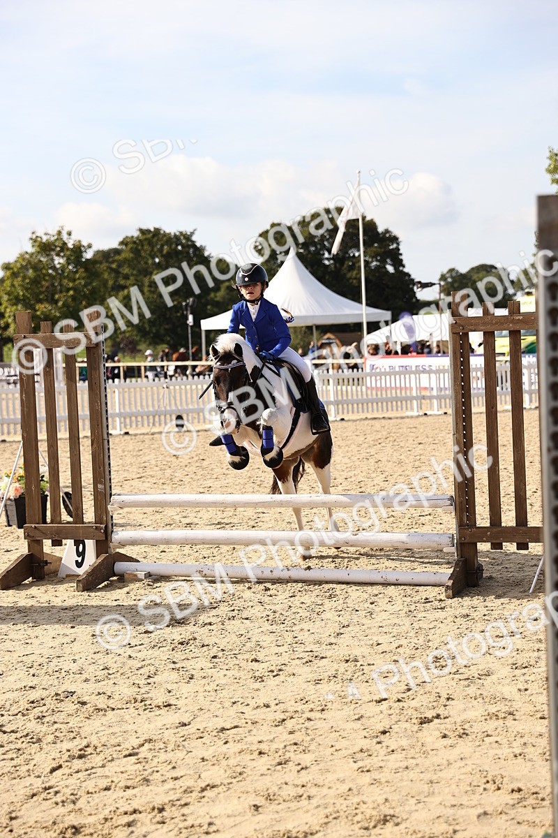 SBM_61905 - J12 - Junior Pony 55cm Championship