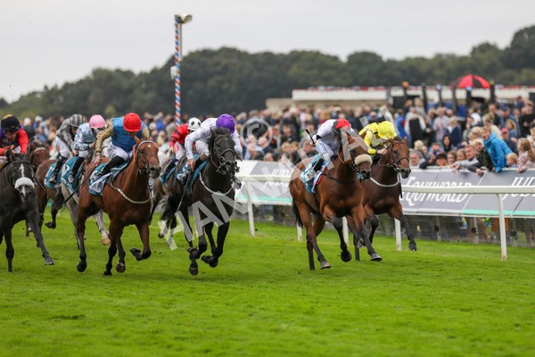 210824-Race 7-Yes Im Mali-7482 - Race 7 5.20pm Sky Bet Nursery Handicap