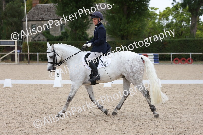 20250820-1151 - Class 17 - Elementary 4