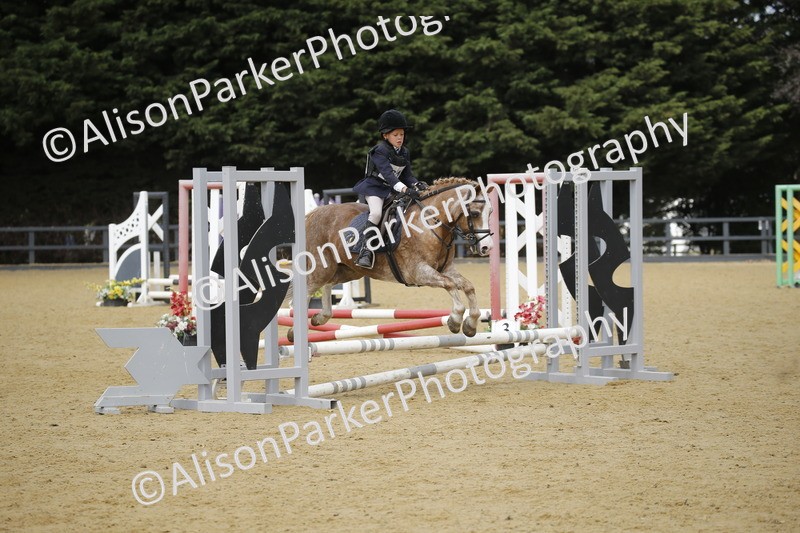 20250622-3808 - 50cm