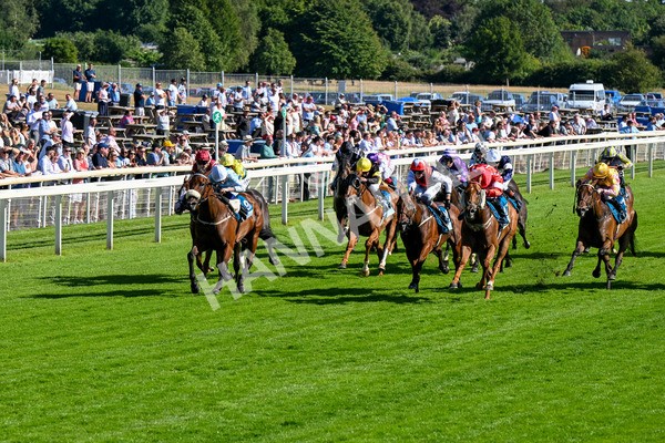 110725-Race 6-Brazen Bolt-0480 - Race 6 5.07pm William Hill Keep Your Raceday Positive Handicap