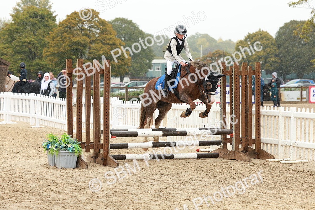 SBM_69354 - J13 - Junior Pony 60cm Championship