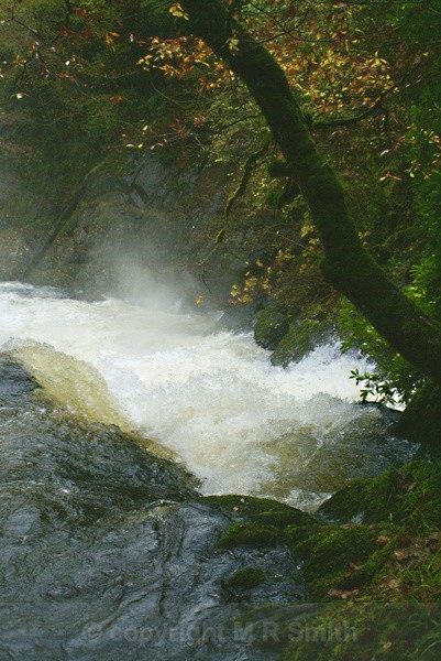 Wild Welsh Water - WATER & REFLECTIONS