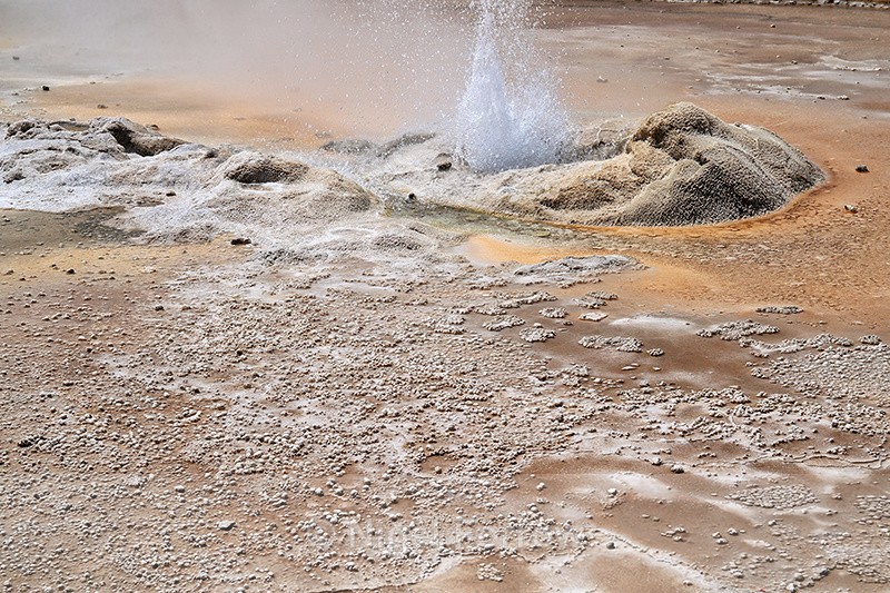 Salt deposits near erupting geyser, El Tatio, Chile - Chile