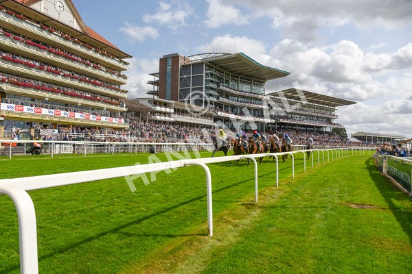 230824-Race 2-Vauban-1427 - Race 2 2.25pm Weatherbys Hamilton Lonsdale Cup Stakes