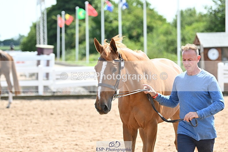 240717A-150700-02554 - Trot Up 3pm to 4pm