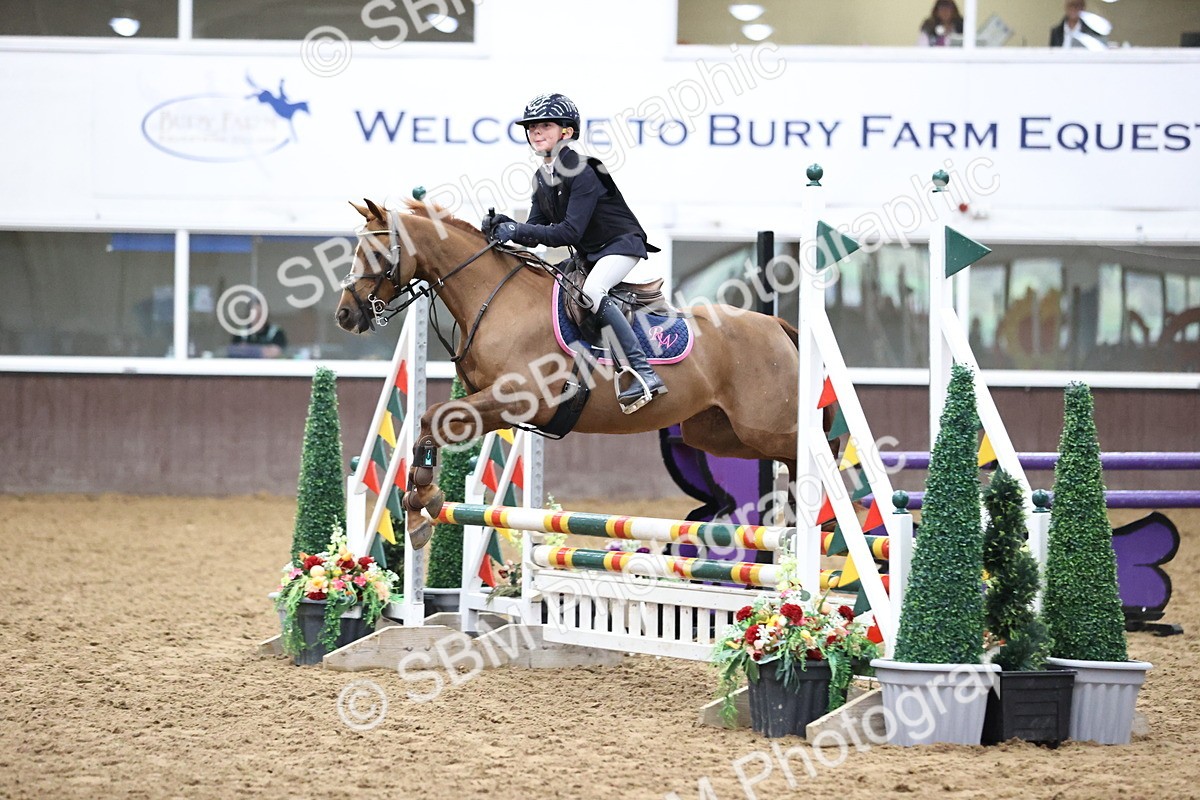SBM_000303 - Class 2 - Pony British Novice - 80cm Open