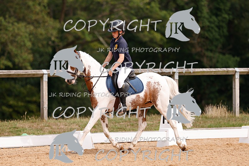_R6A2607 - Dressage Morning