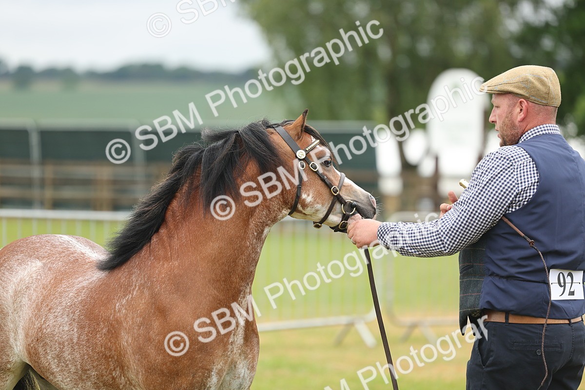 SBM_01387 - Class 50-57 - M&M Welsh Pony In Hand