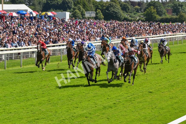 150723-Race 3-Pride of America-8675 - Race 3 3.10pm John Smith's Cup Handicap