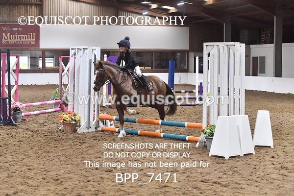 BPP_7471 - 40CM WORKING HUNTER