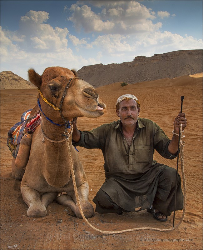 Camel Herder - Dubai UAE
