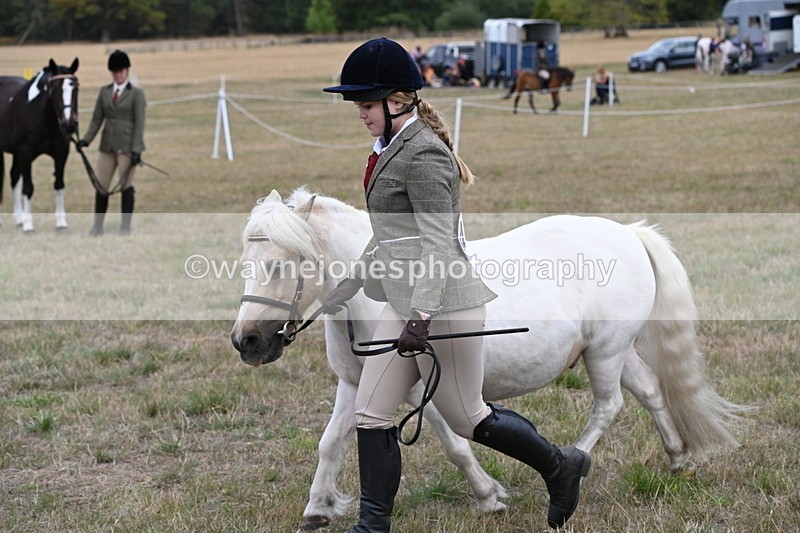 WJ6_6136 - Class 19 In-hand Veterans (Uploaded correct folder)