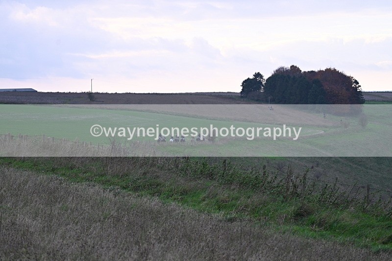 WJ7_0031 - Camera 1 & Last fence