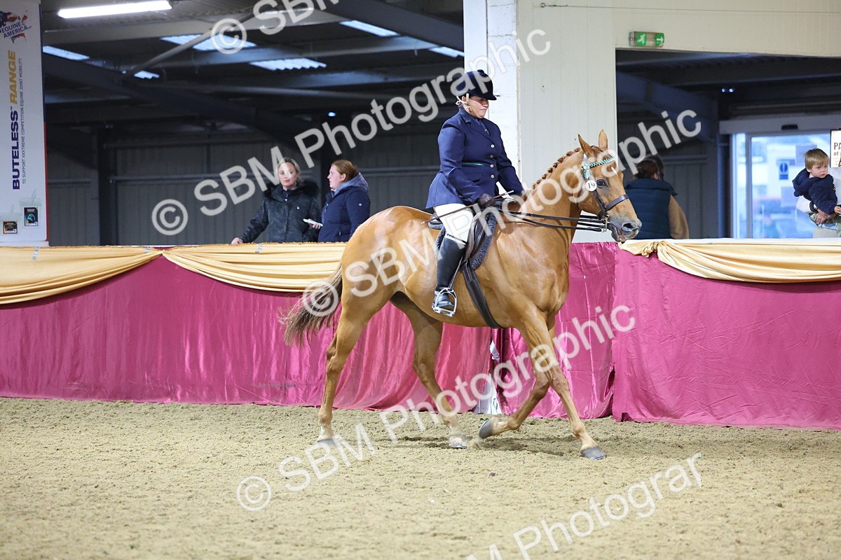0B8A4282 - Class 108Ridden Retired Racehorse- Final Judging
