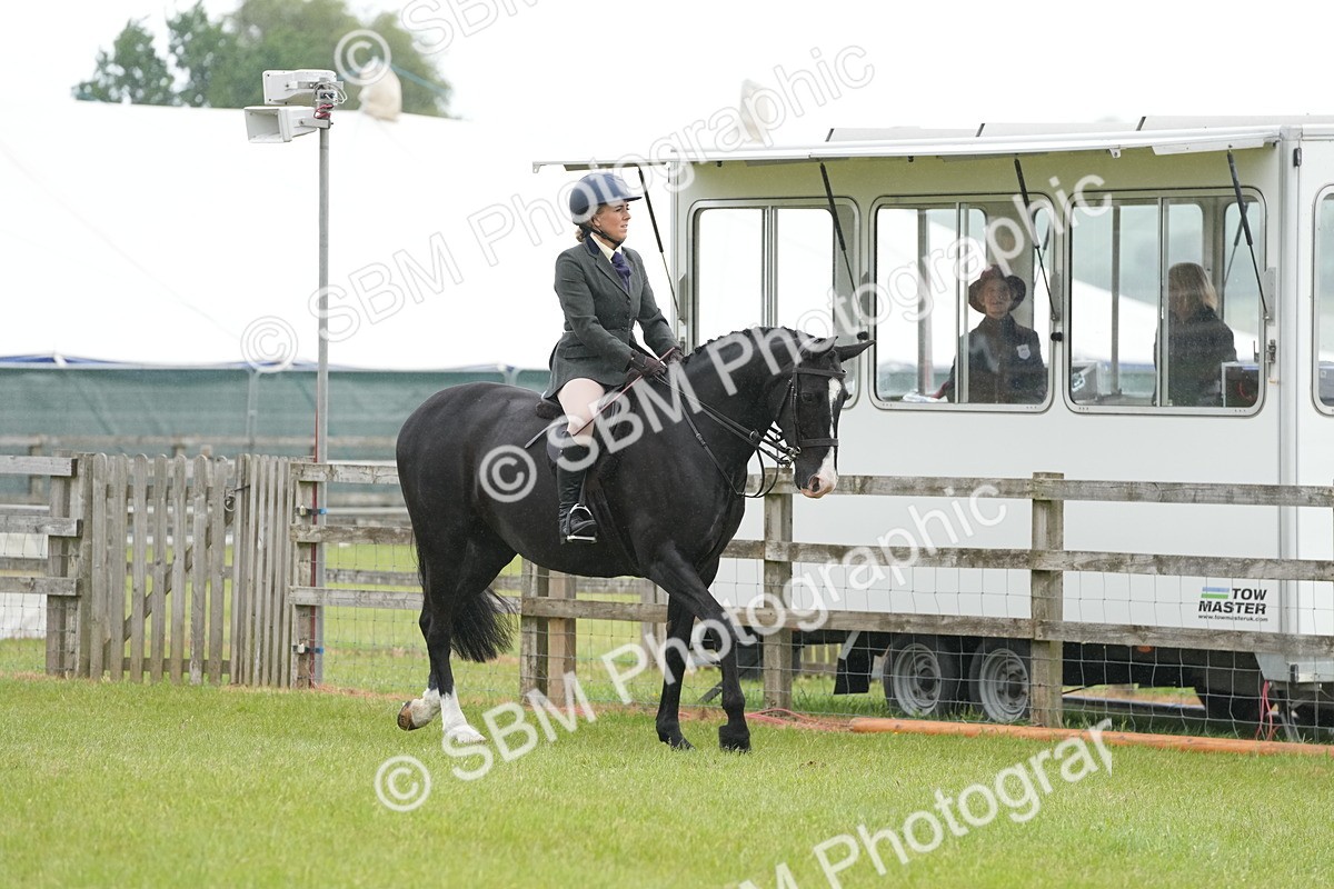 SBM_12635 - Class 97-98 - LIHS BSHA Rising Star Working Show Horse Hunter
