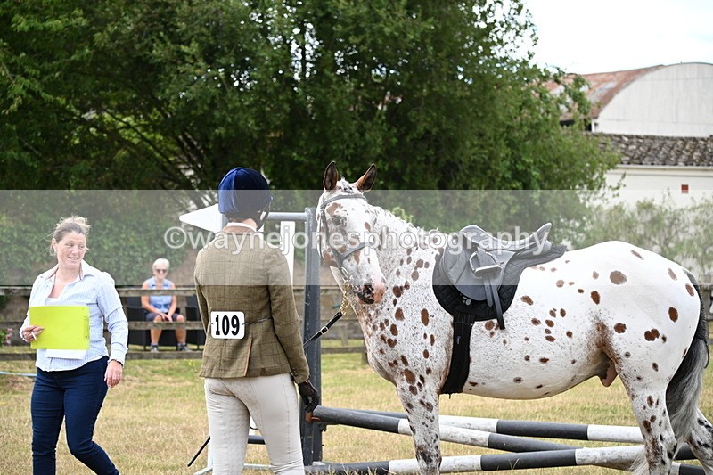 WJ6_3842 - Class 9 Tack & Turnout