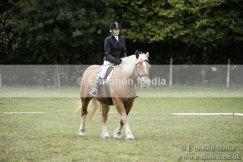 BVR080918 132 - BVRC Novice Dressage & CR 08/09/18