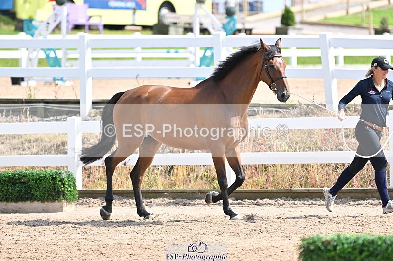 240717A-154501-03030 - Trot Up 3pm to 4pm