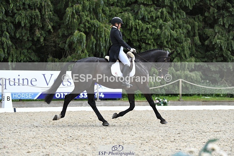 230525-140114-03073 - 317-FERNHILL_KANKAN-Jonelle_Price-WEDTrotUp+DR