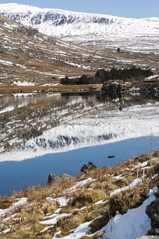 YR6M1708 - United Kindom