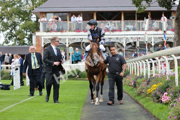 yr04092022r2-37 - Race 2 2.20pm John and Judith Marshall Memorial Stakes