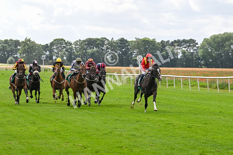 090824-Race 4-Law Of Average-4663 - Race 4