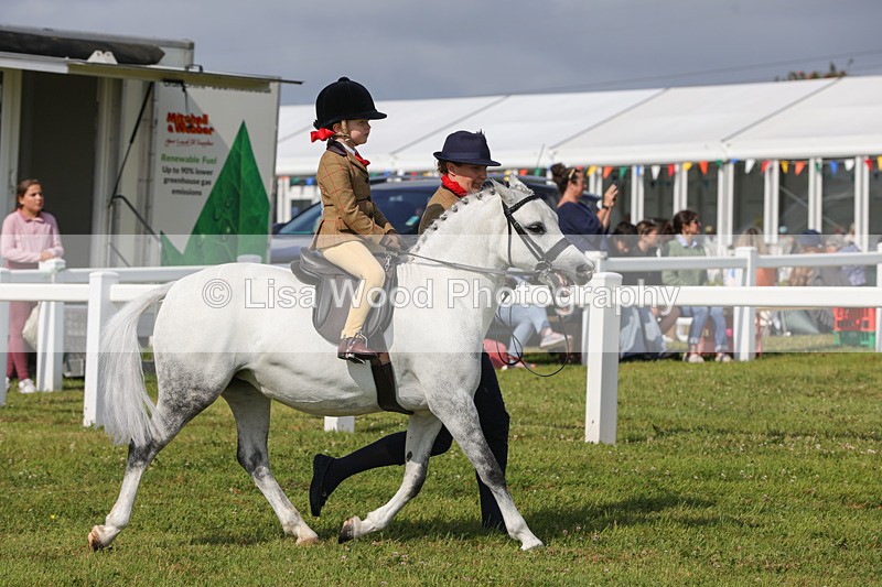 1X9A3592 - Class 29: Lead Rein SP/SHP