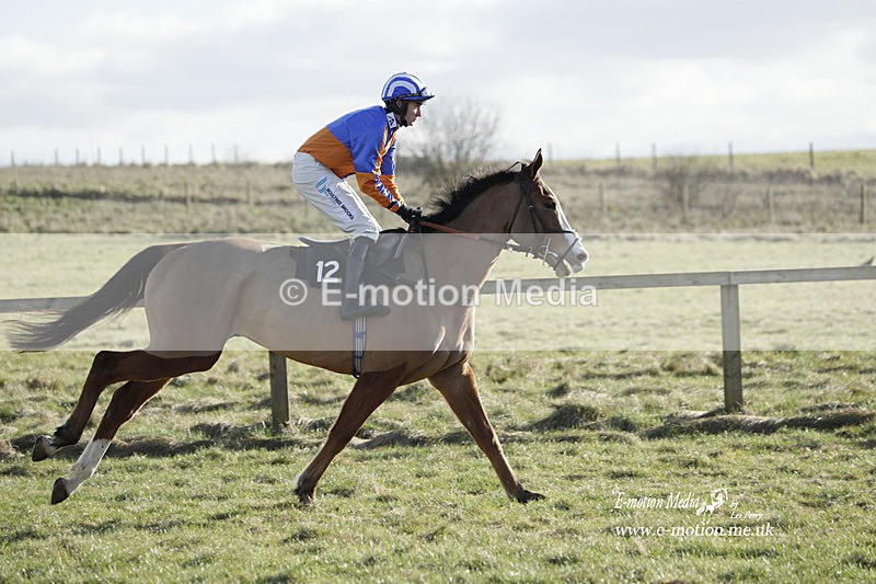 PtP 260223 1115 - South & West Wilts Point-to-Point Larkhill 26/02/23