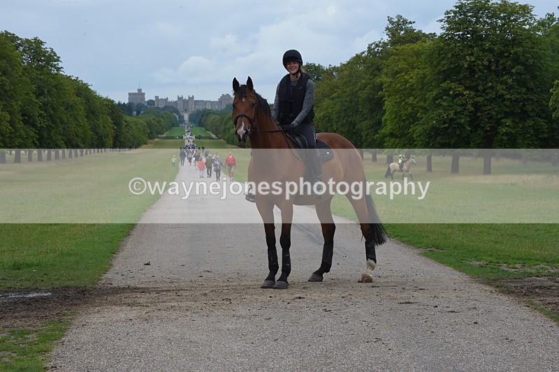 TT3_9560 - Time at Crossing 11:28 to 13:16