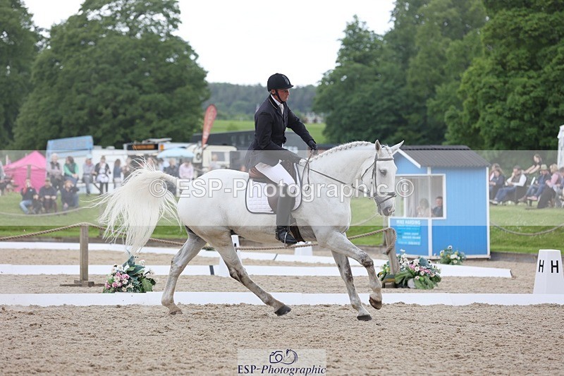 240524-144221-09800 - 285-CHF_BALLYTURN_BRILLIANT-Pascal_Van_moort