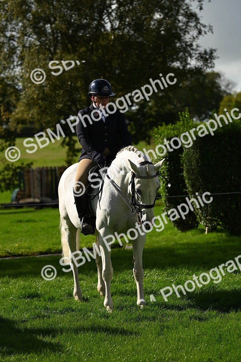 SBM_01637 - S2 - TSR Ridden Horse Showing