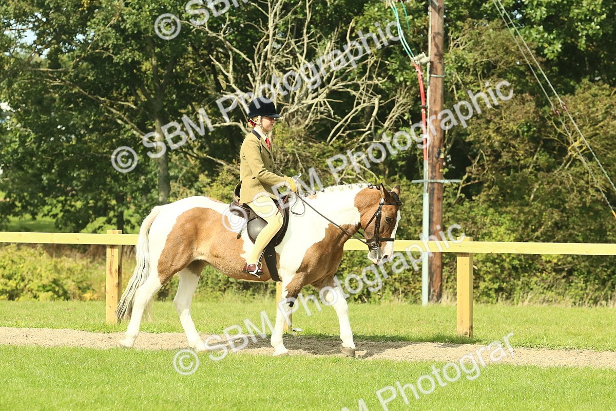 SBM_67379 - S56 - Coloured Pony Ridden