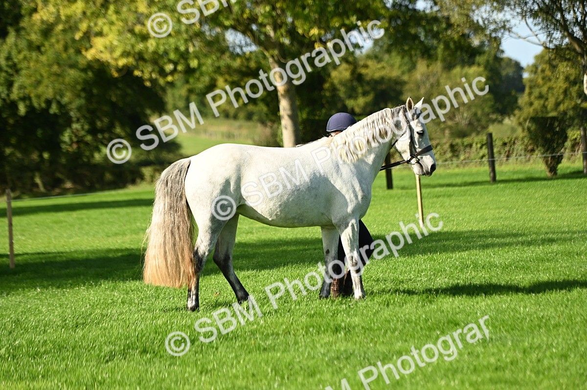 SBM_15826 - S1 - TSR in Hand Horse & Pony Showing