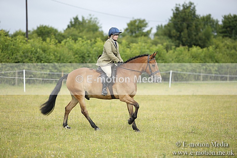 BVR160717-254 - Ring 1 BVRC Show 16/07/17