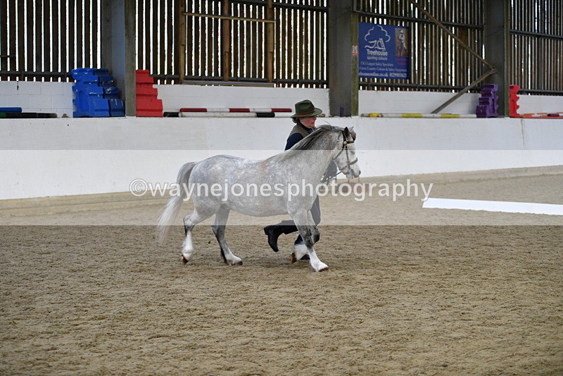 WJ5_5415 - Class 4 In hand M&M - small breeds