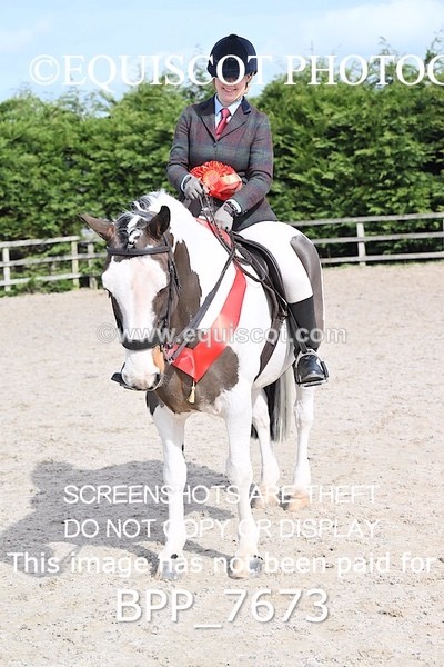 BPP_7673 - RING 1  (RIDDEN HORSES / IN HAND / VETERAN ETC)