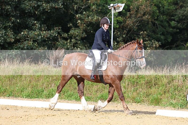 3E7A2228 - Class 1: Intro 4 2024 section A