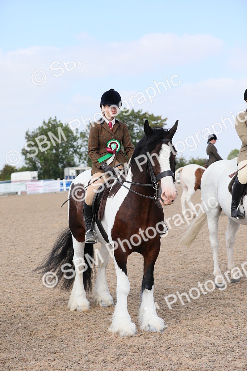 SBM_13532 - Class 308 Ridden Coloured Horse