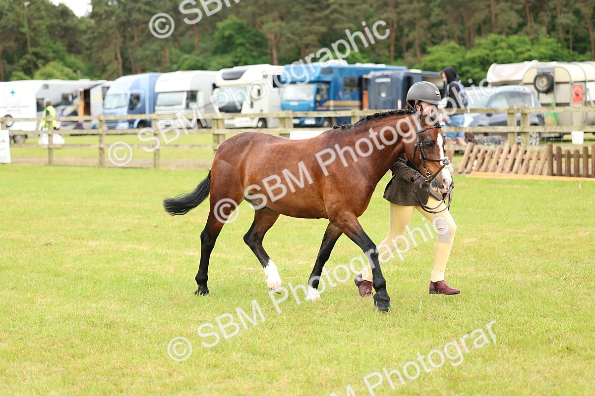 SBM_10333 - Class 44-45 - LIHS BSPS Open Nursery and Cradle Stakes